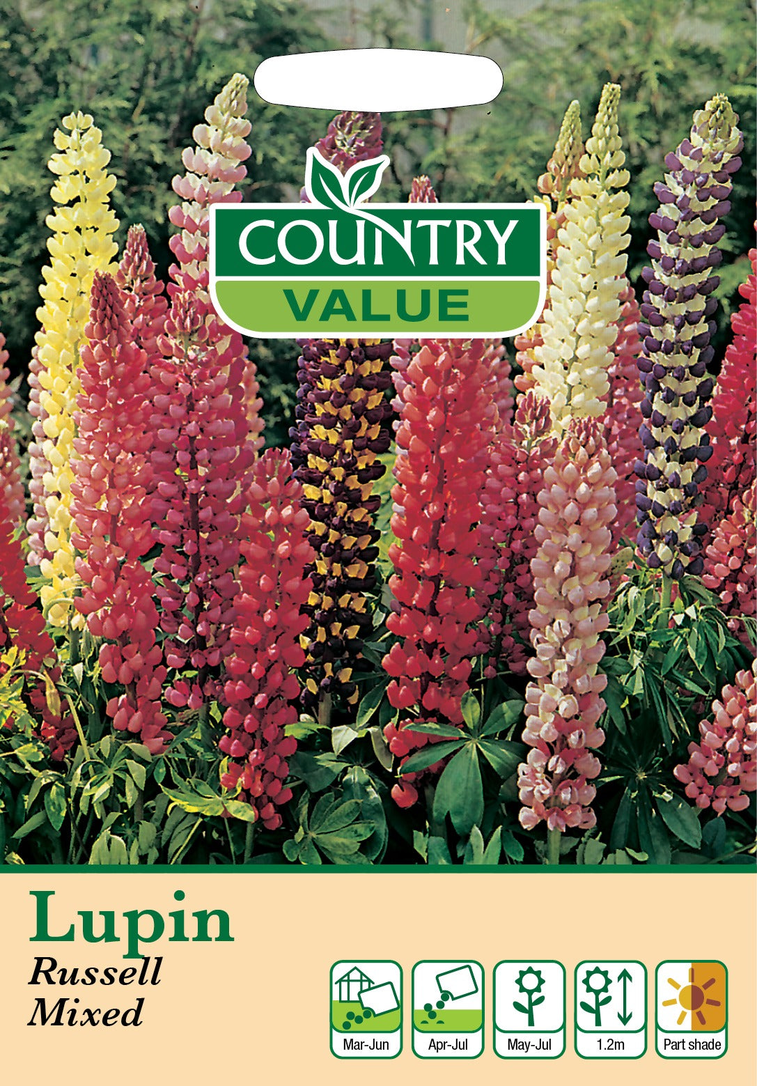Lupin Russell Mixed C V Seeds