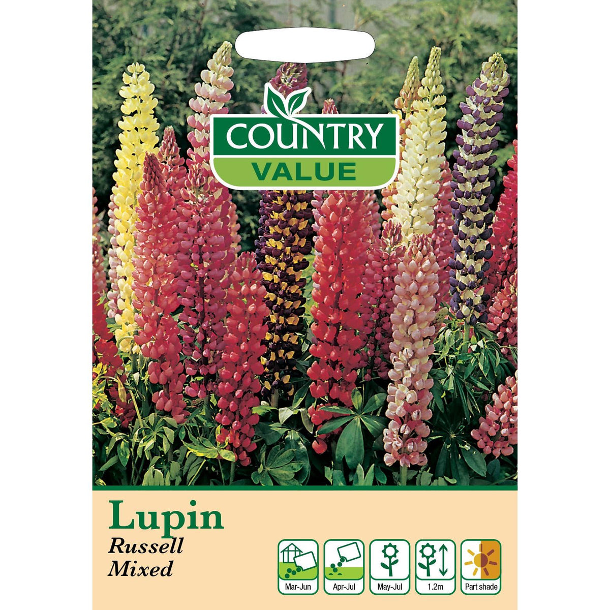 Lupin Russell Mixed C V Seeds