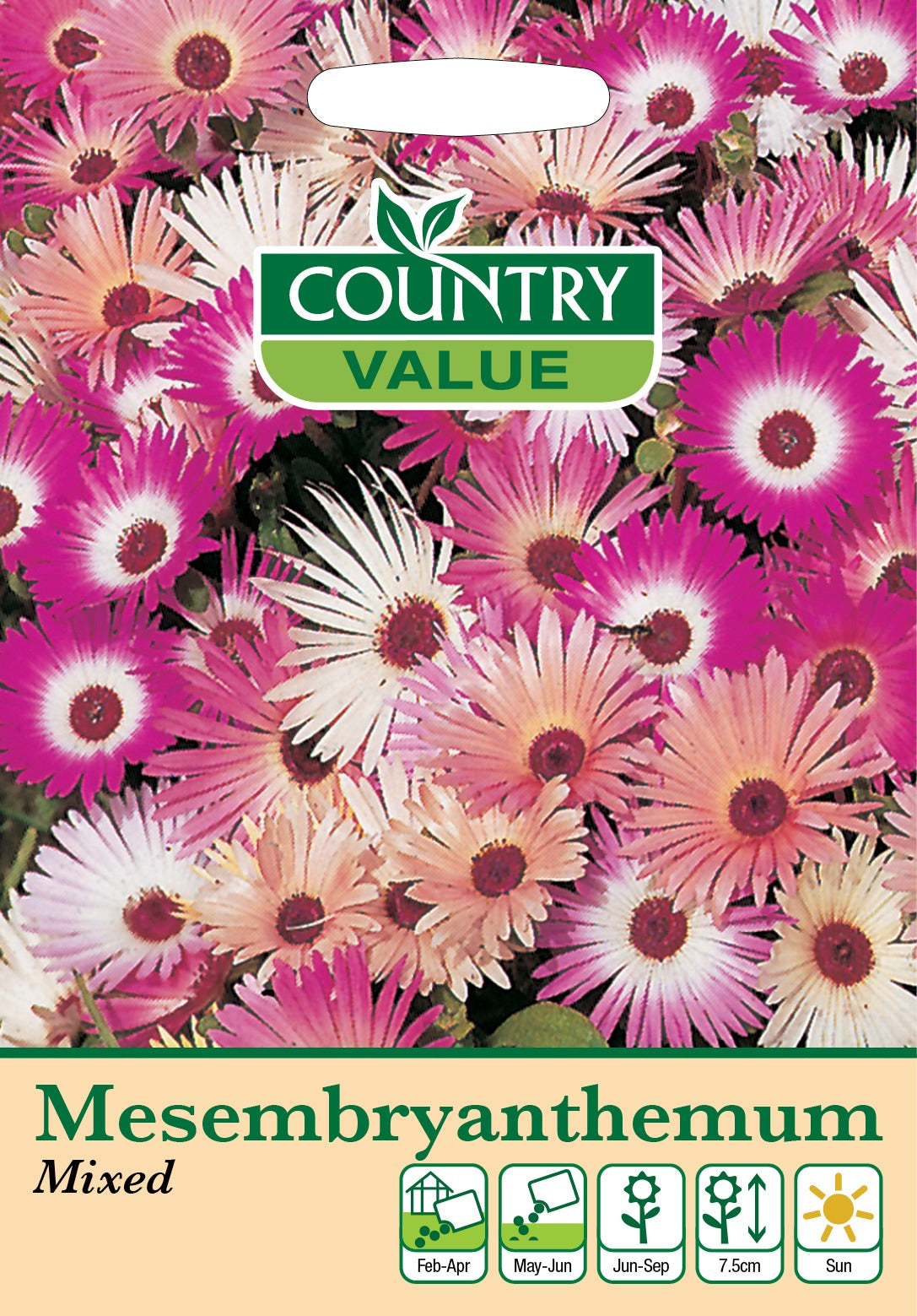 Mesembryanthebum Mixed C V Seeds