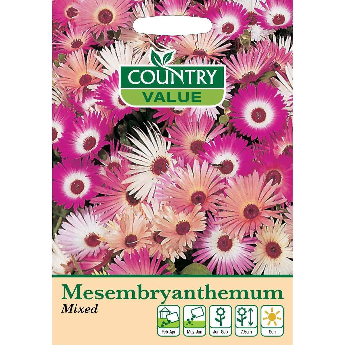 Mesembryanthebum Mixed C V Seeds
