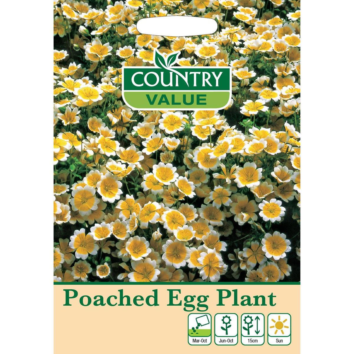 Poached Egg Plant C V Seeds
