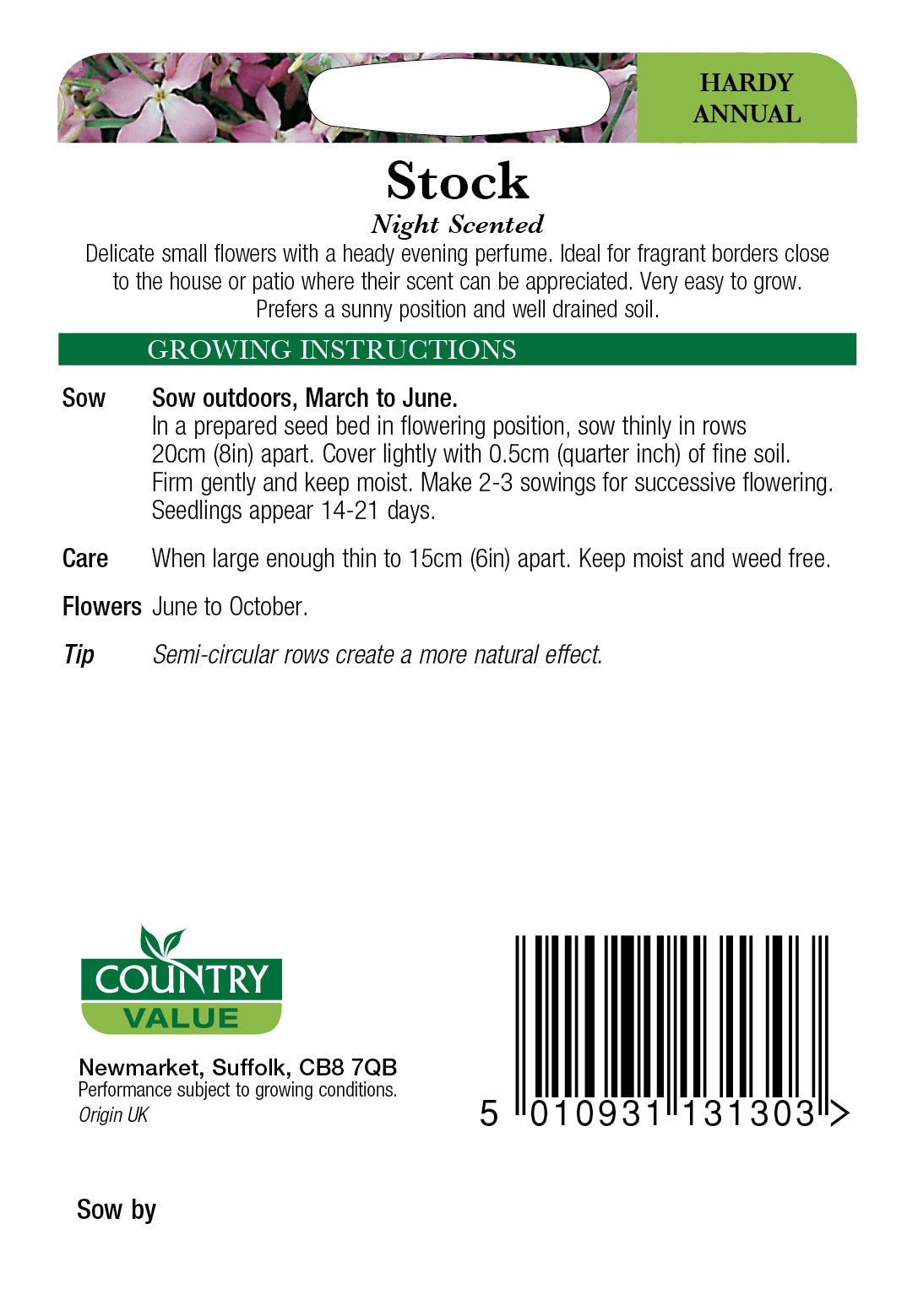 Stock Night Scented C V Seeds