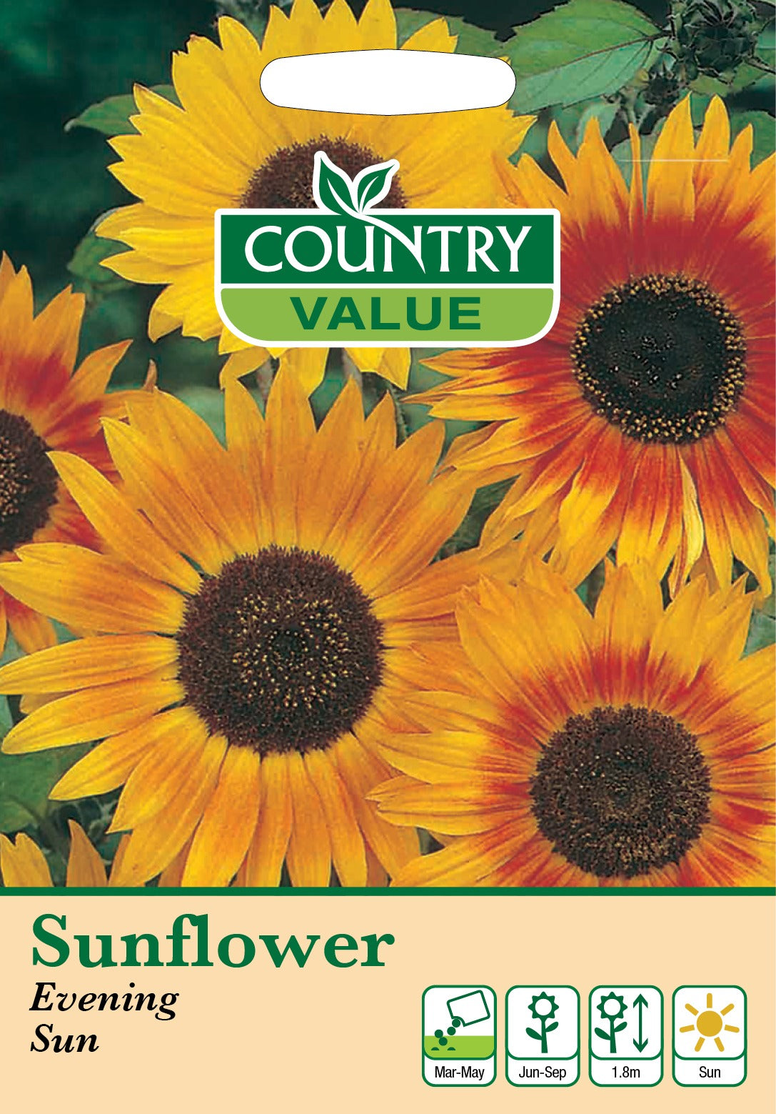 Sunflower Evening Sun C V Seeds