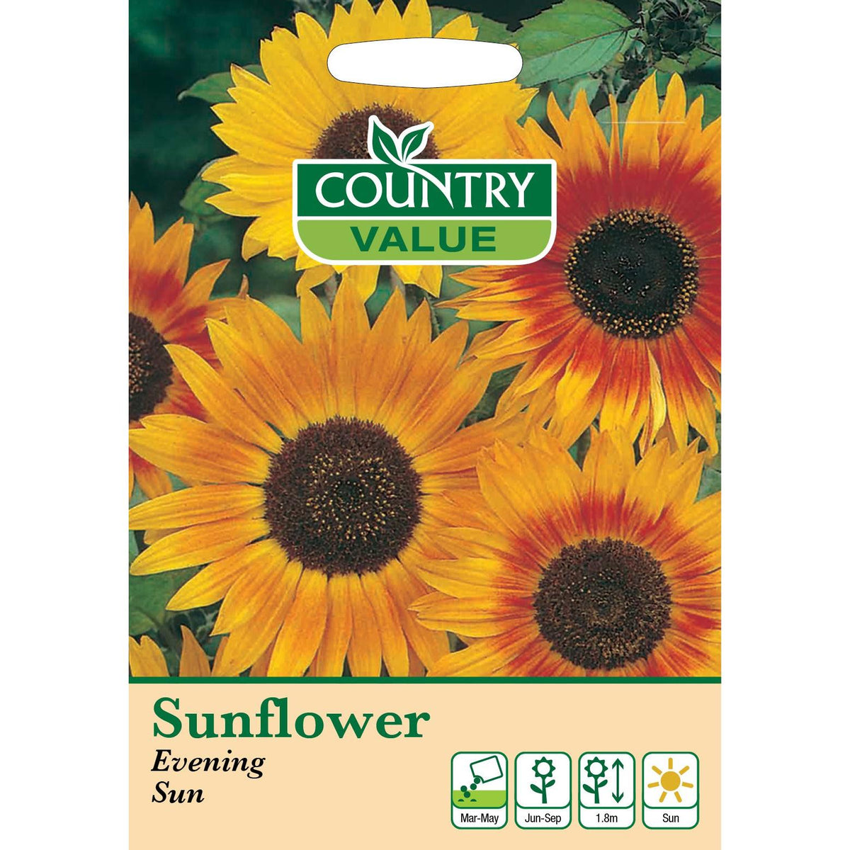 Sunflower Evening Sun C V Seeds