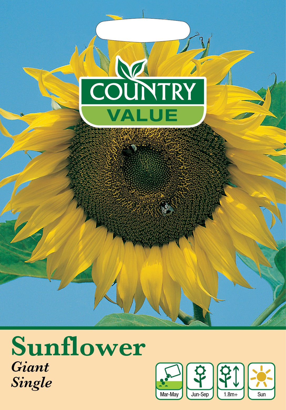 Sunflower Giant Single C V Seeds