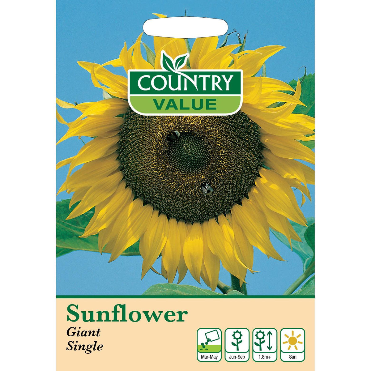 Sunflower Giant Single C V Seeds