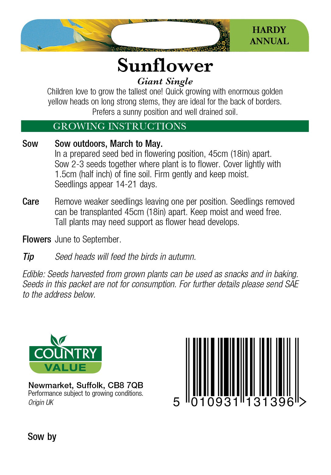 Sunflower Giant Single C V Seeds
