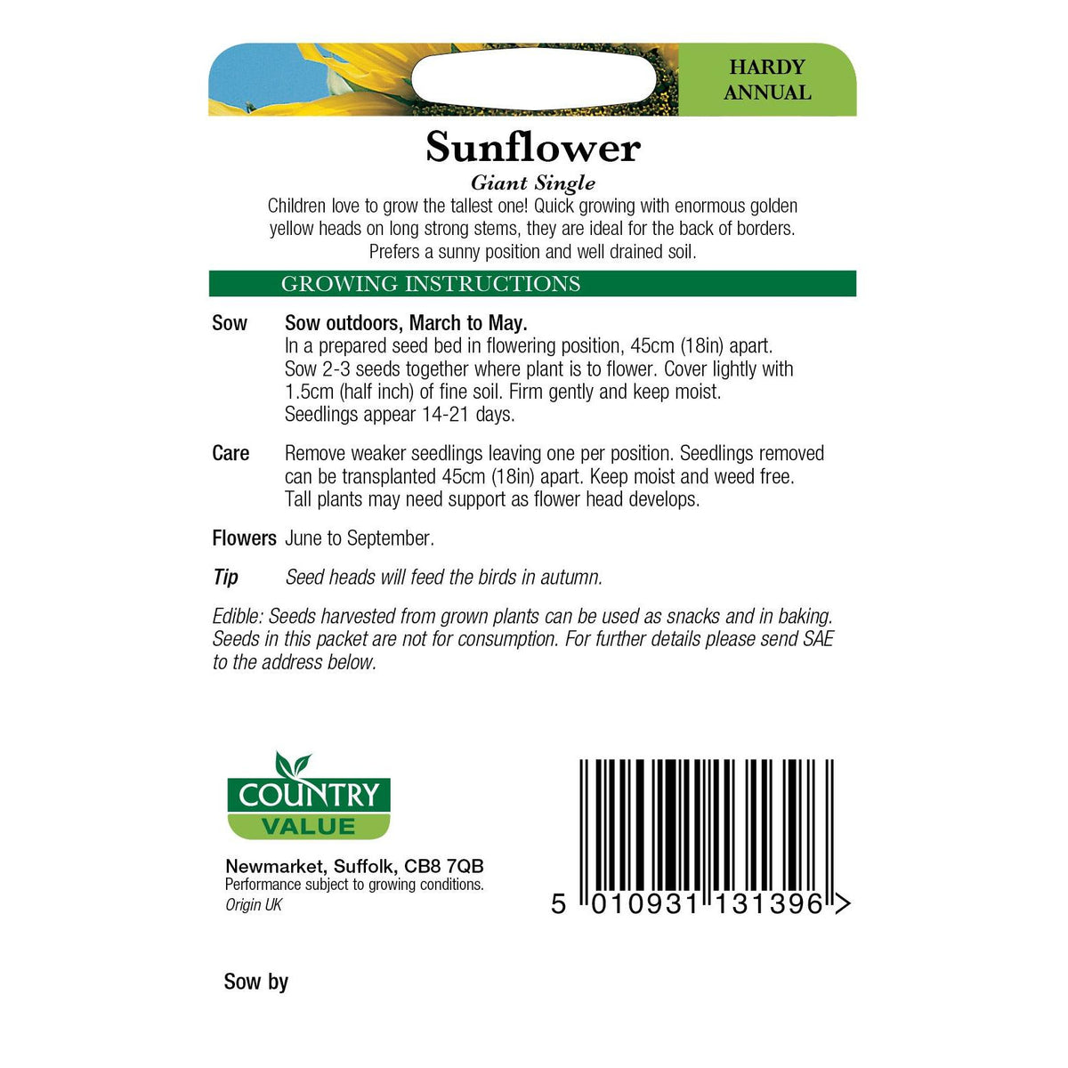 Sunflower Giant Single C V Seeds