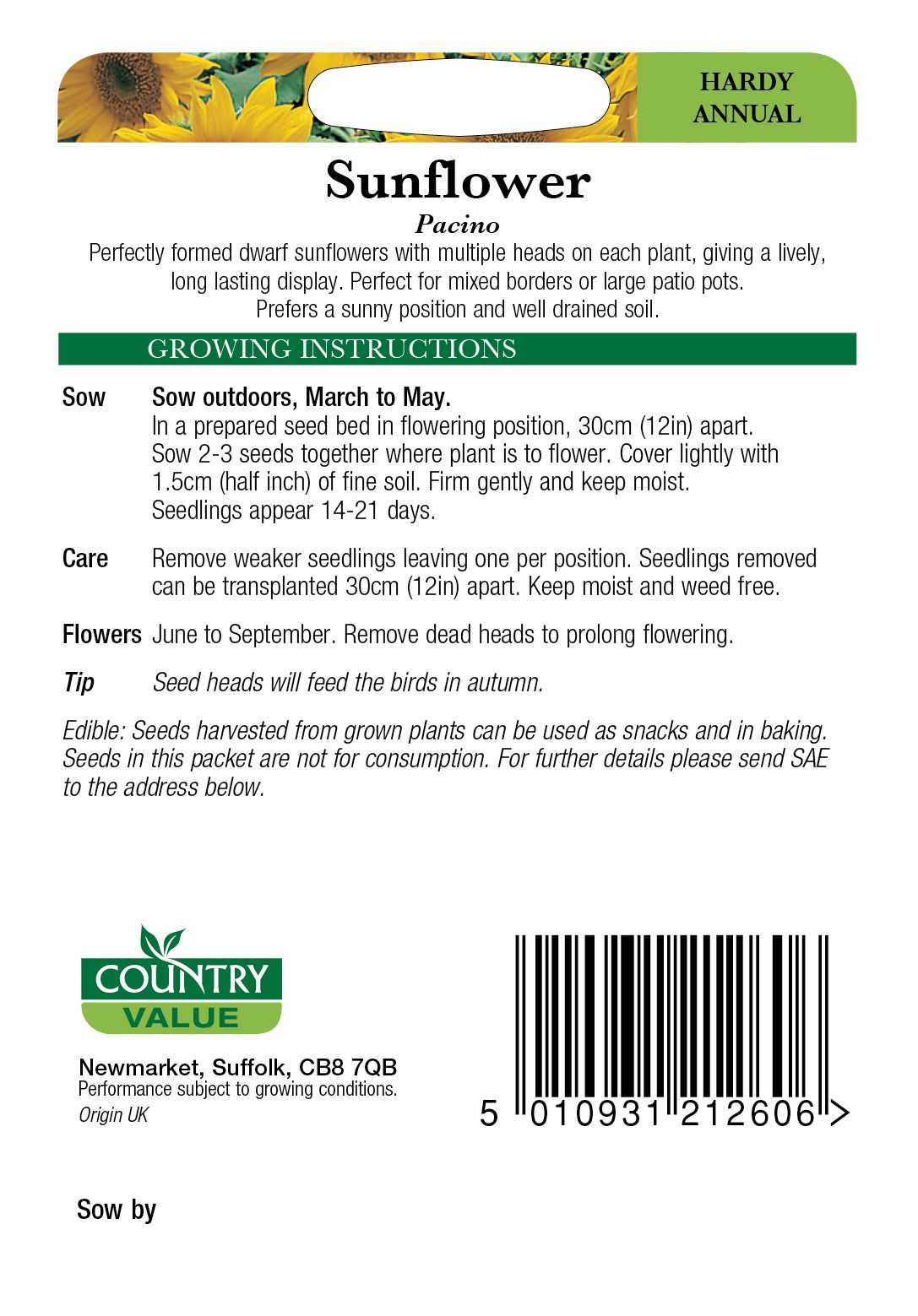 Sunflower Pacino C V Seeds