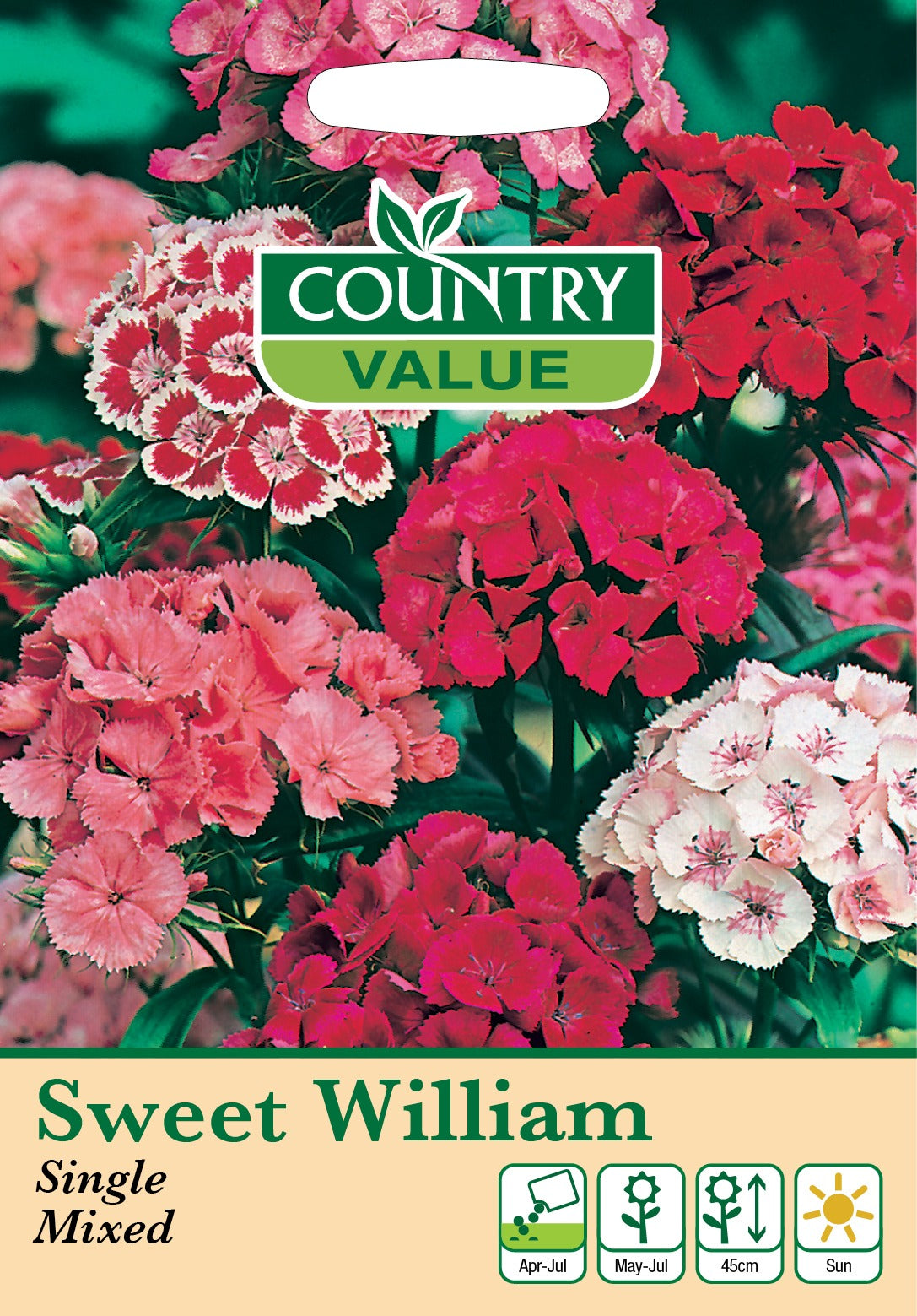 Sweet Wiiliam Single Mixed C V Seeds