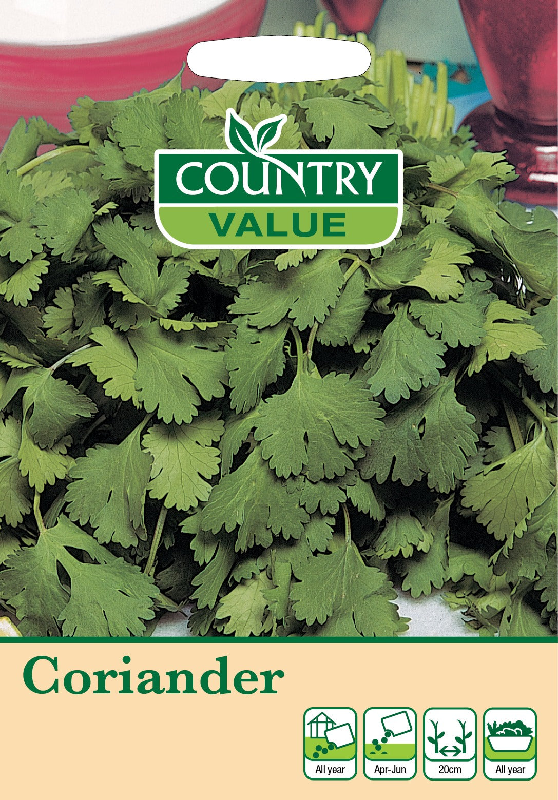 Coriander C V Seeds