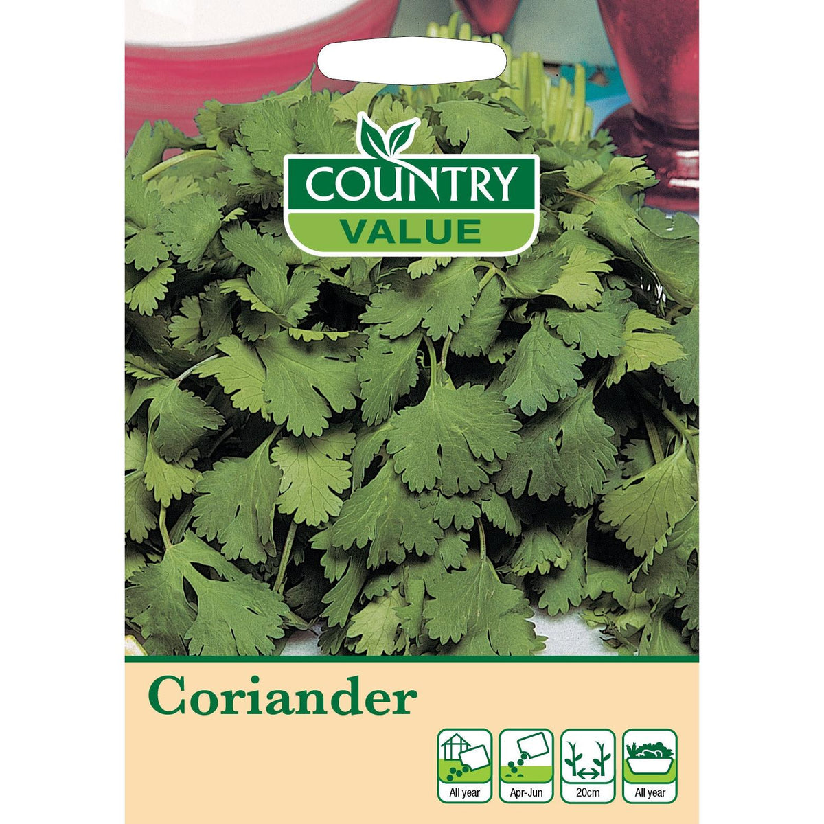 Coriander C V Seeds