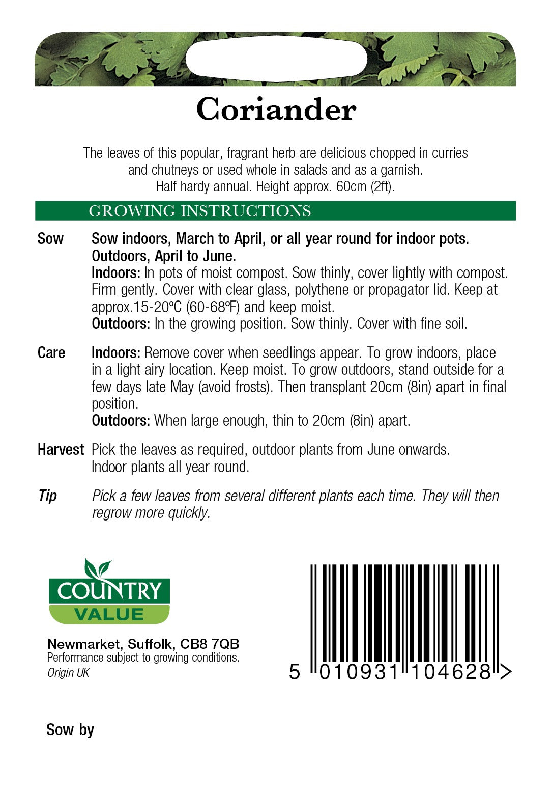 Coriander C V Seeds