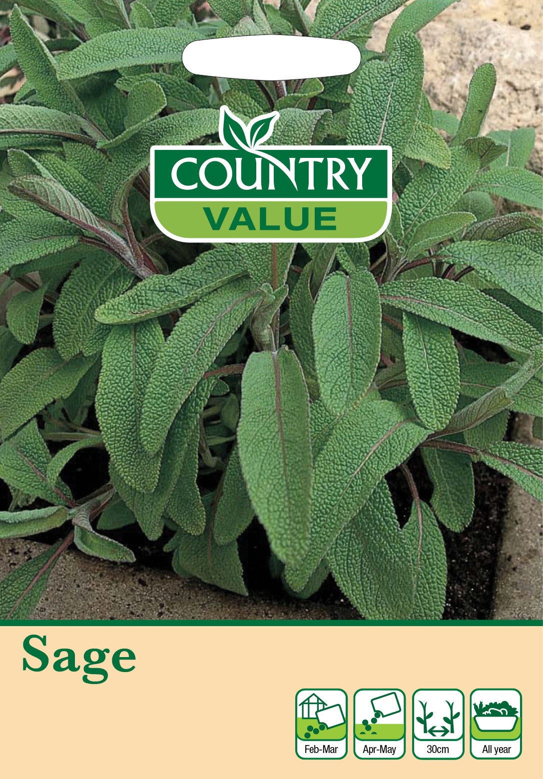 Sage C V Seeds