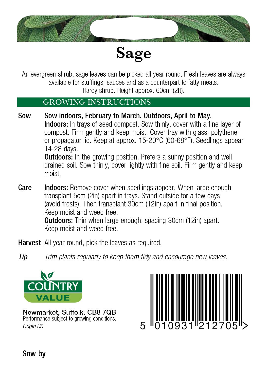 Sage C V Seeds
