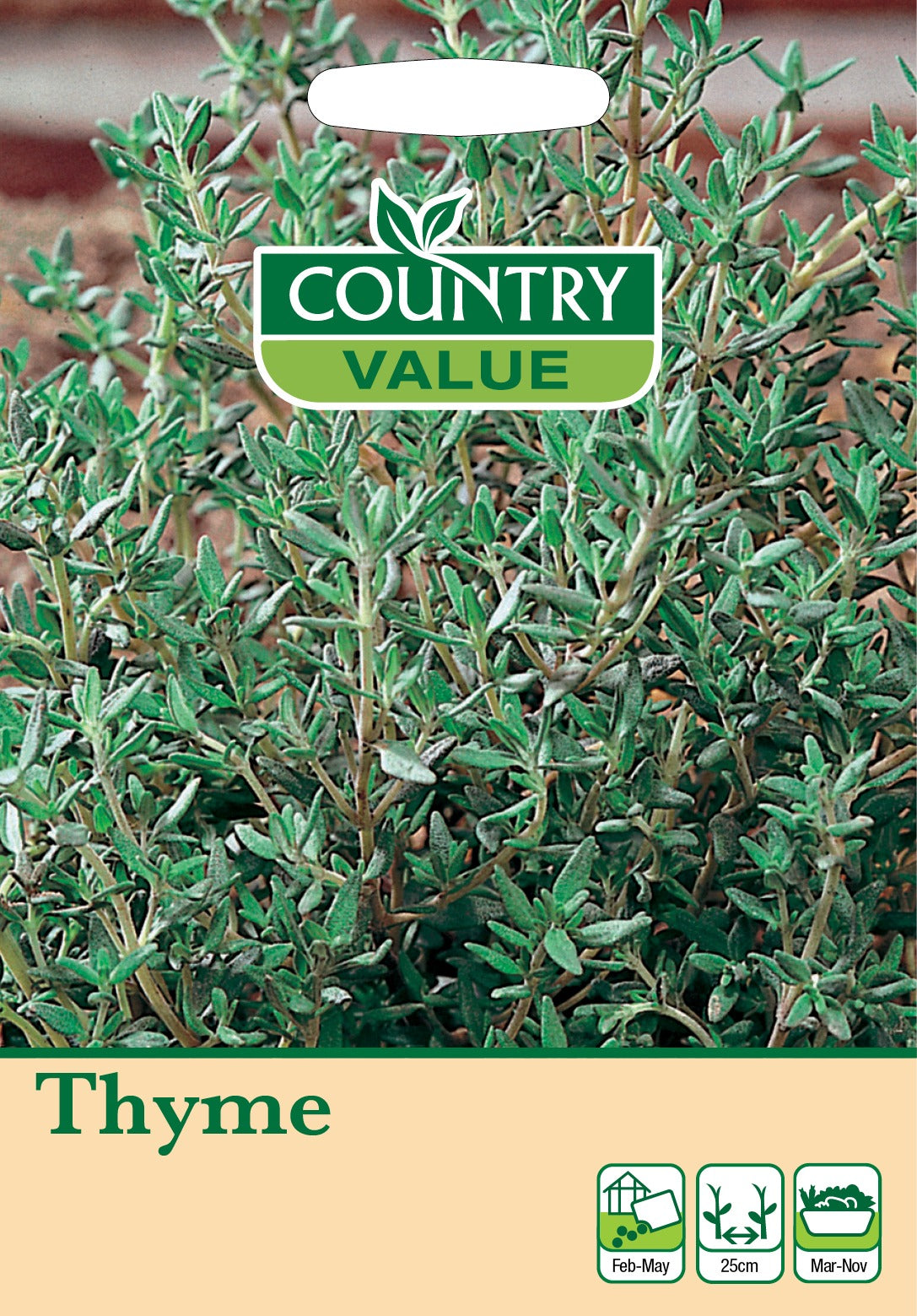 Thyme C V Seeds