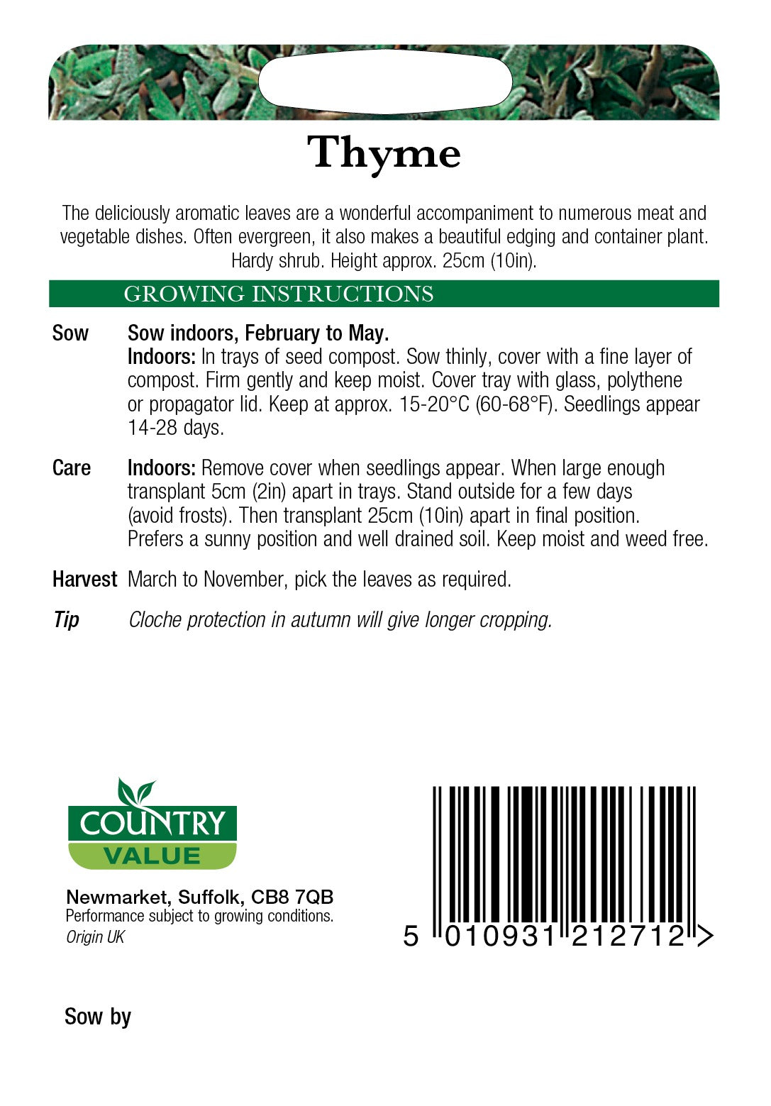 Thyme C V Seeds