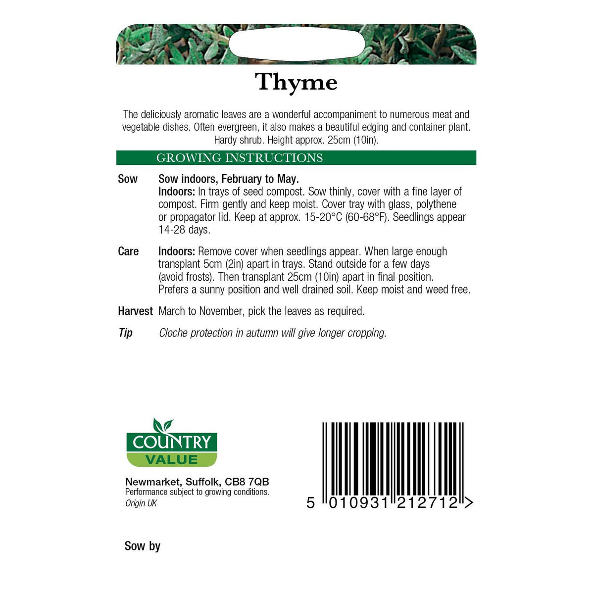 Thyme C V Seeds
