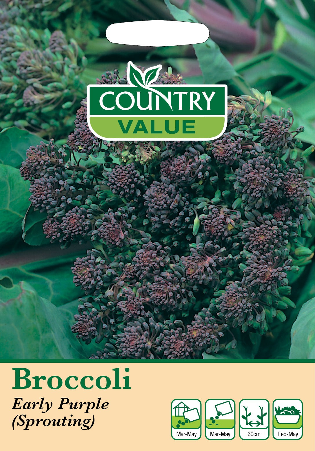 Broccoli Early Purp Sprout C V Seeds