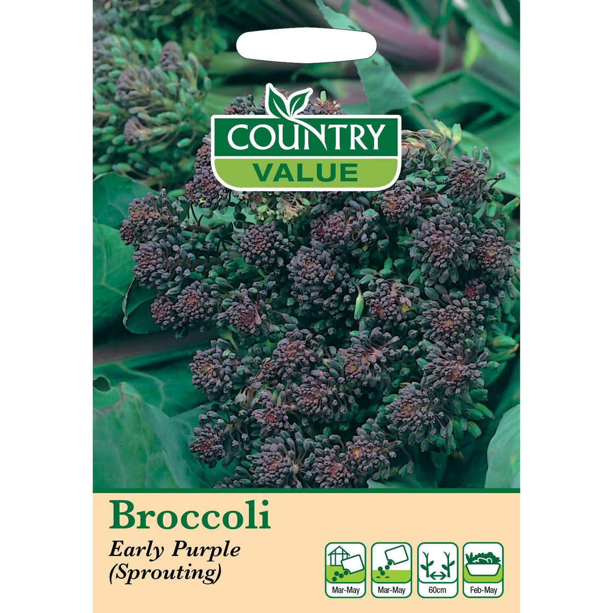 Broccoli Early Purp Sprout C V Seeds