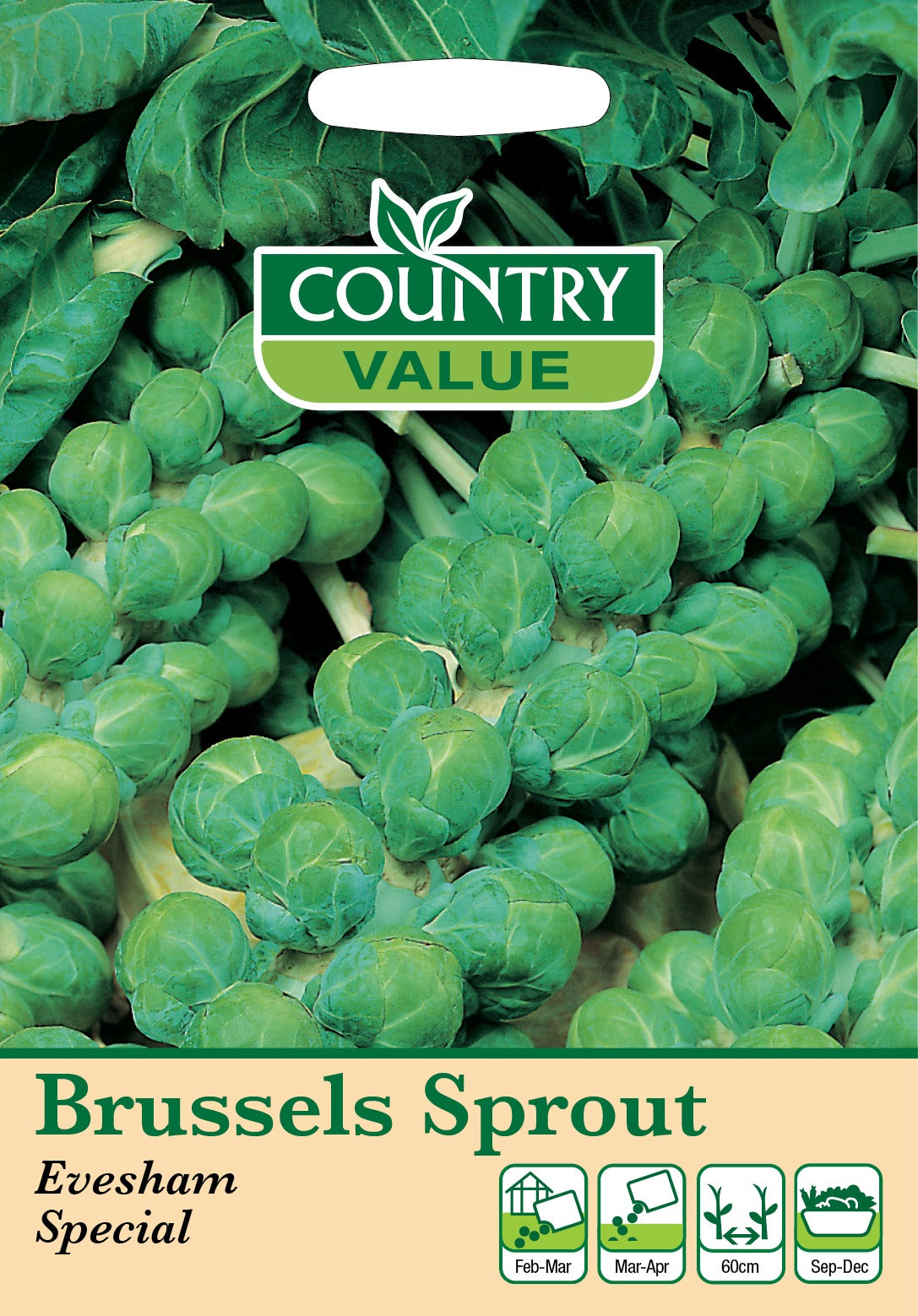 Brussels Sprouts Evesham Sp C V Seeds