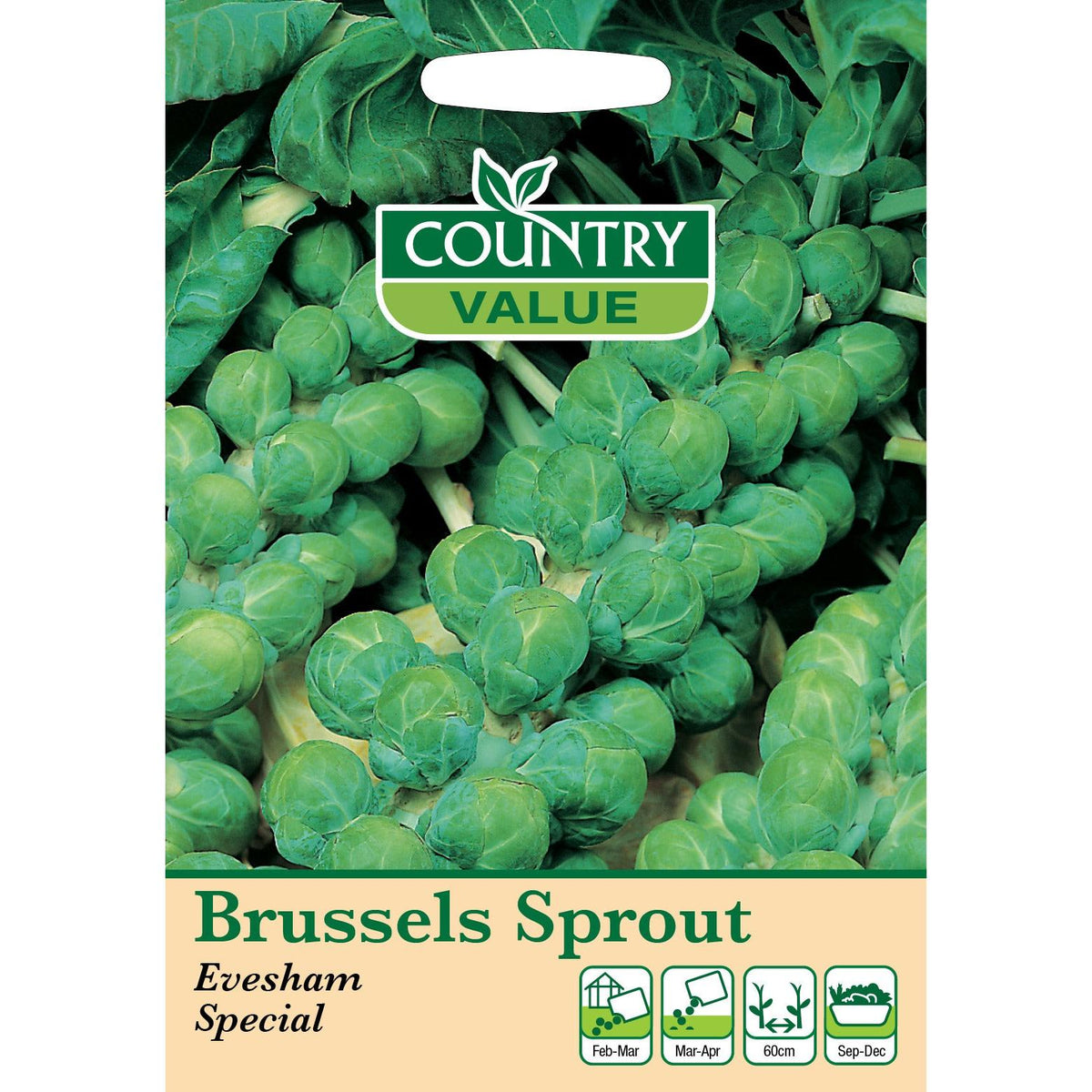 Brussels Sprouts Evesham Sp C V Seeds