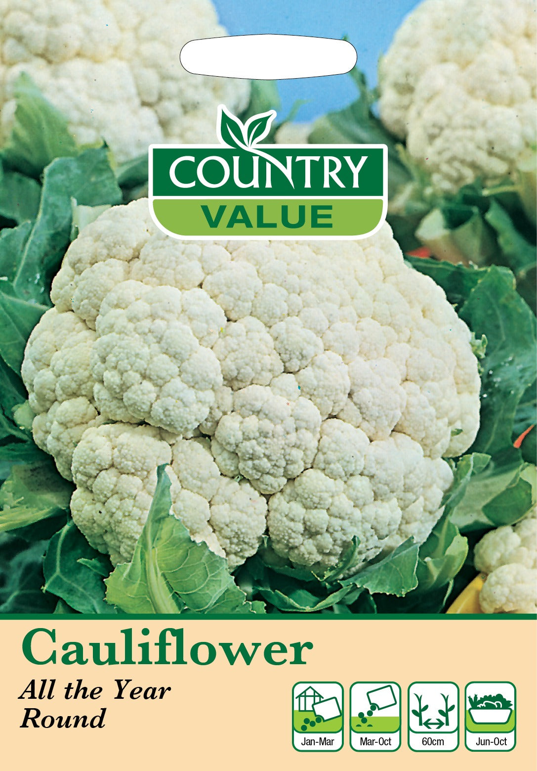 Cauliflower All Year Round C V Seeds