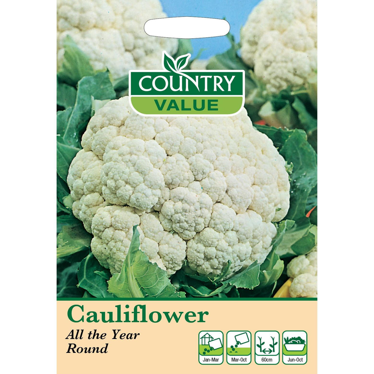 Cauliflower All Year Round C V Seeds
