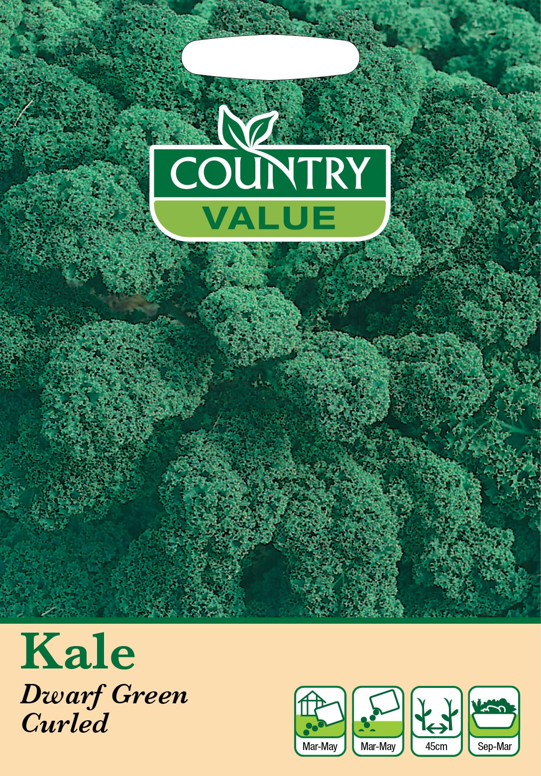 Kale Dwarf Green Curled C V Seeds