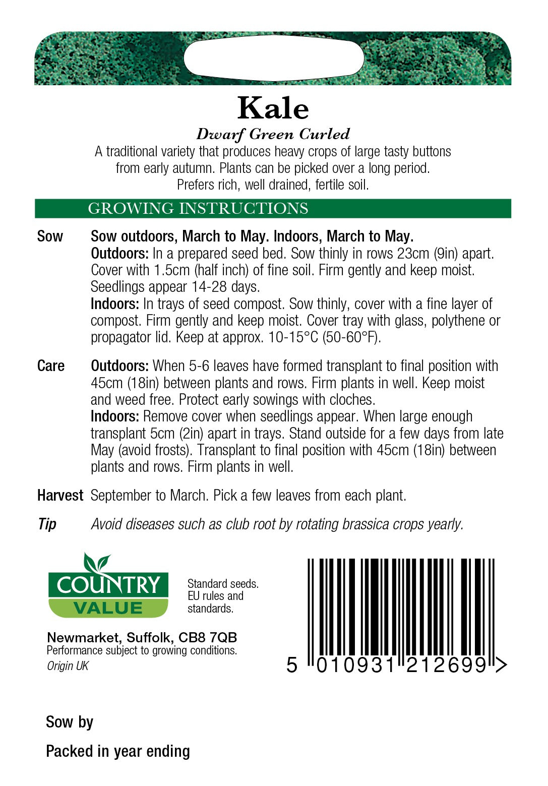 Kale Dwarf Green Curled C V Seeds