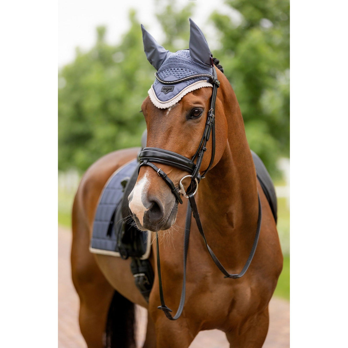 LeMieux Loire Fly Hood