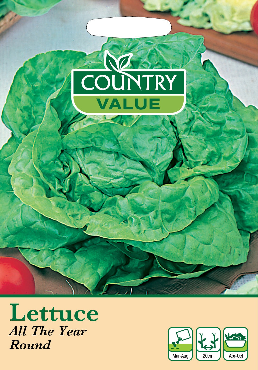 Lettuce All The Year Round C V Seeds