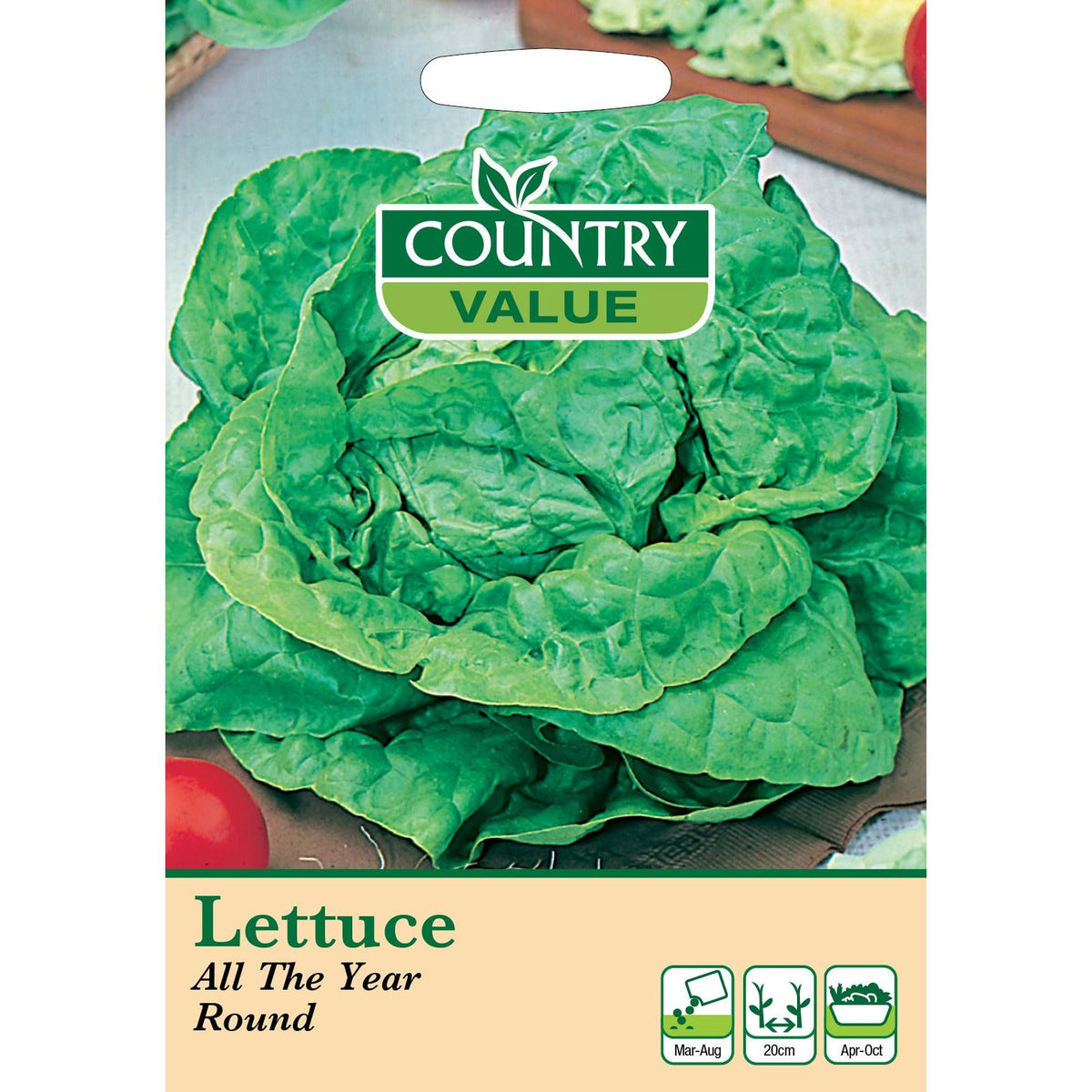 Lettuce All The Year Round C V Seeds