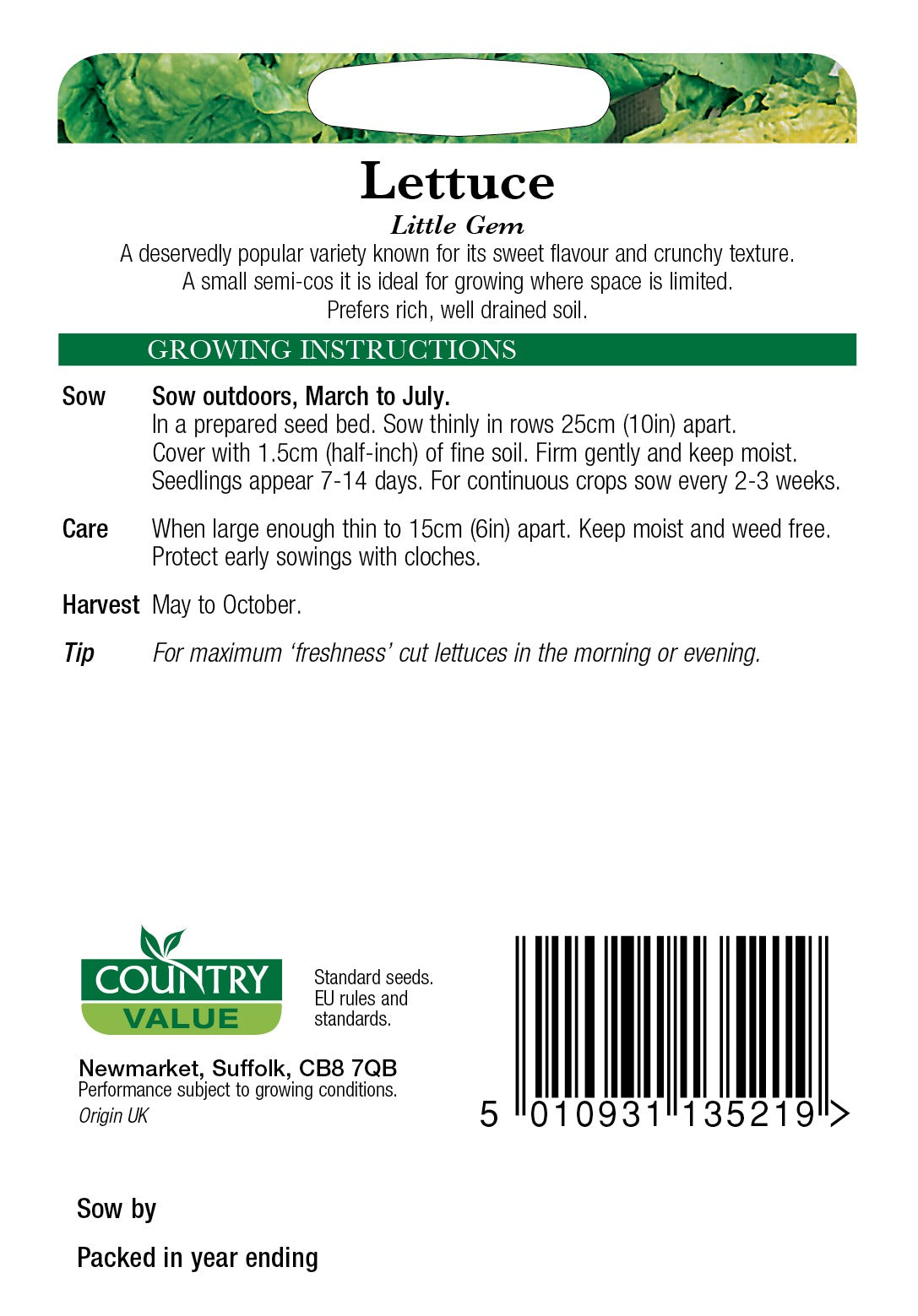 Lettuce Little Gem C V Seeds
