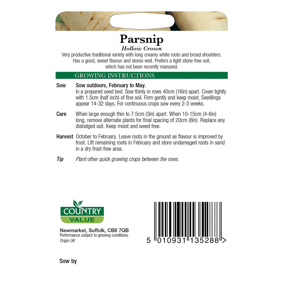 Parsnip Hollow Crown C V Seeds