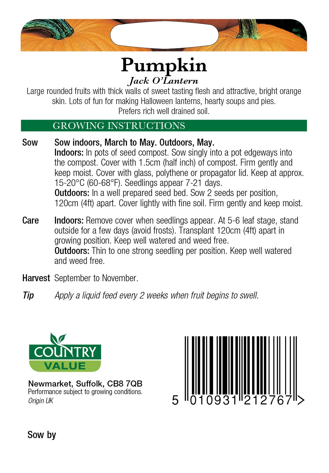 Pumpkin Jack O Lantern C V Seeds