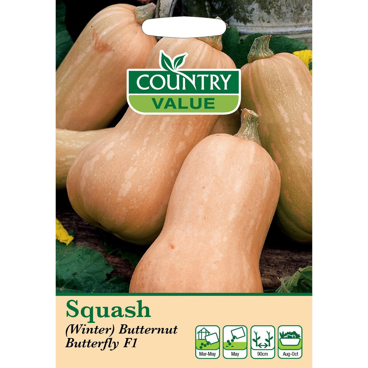 Squash Winter Butternut But C V Seeds