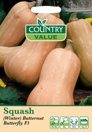 Squash Winter Butternut But C V Seeds