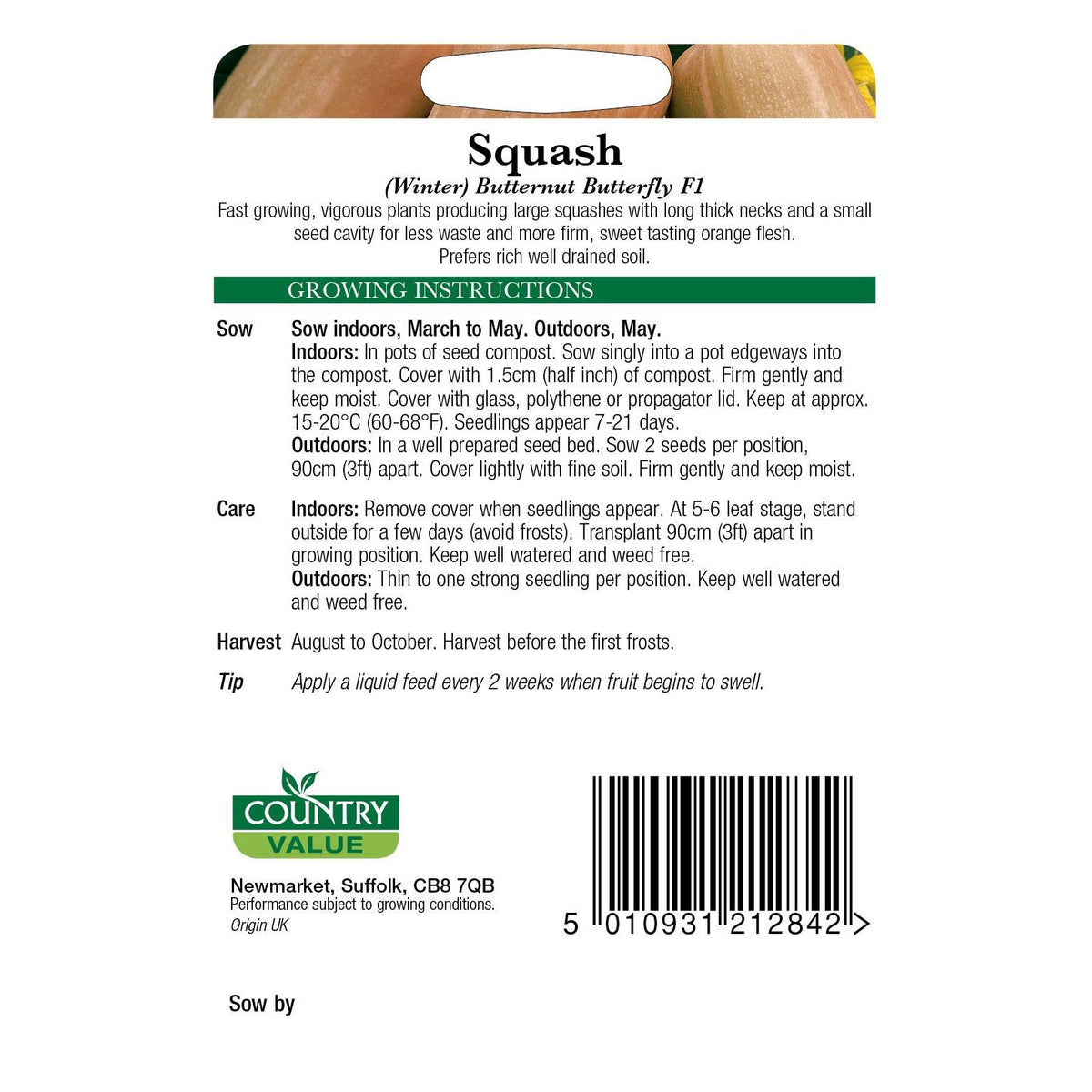 Squash Winter Butternut But C V Seeds