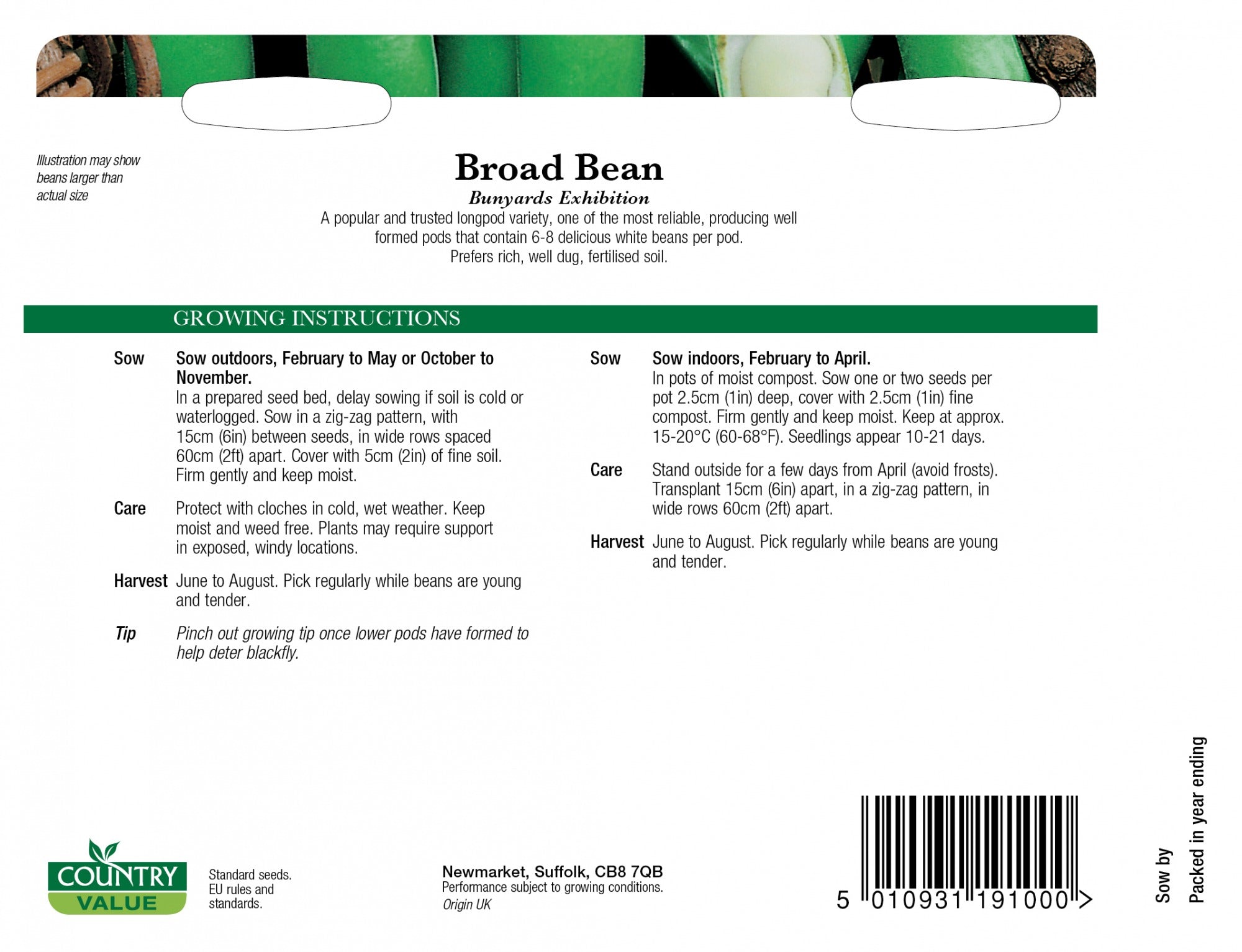 Broad Bean Bunyards Exhib C V Seeds