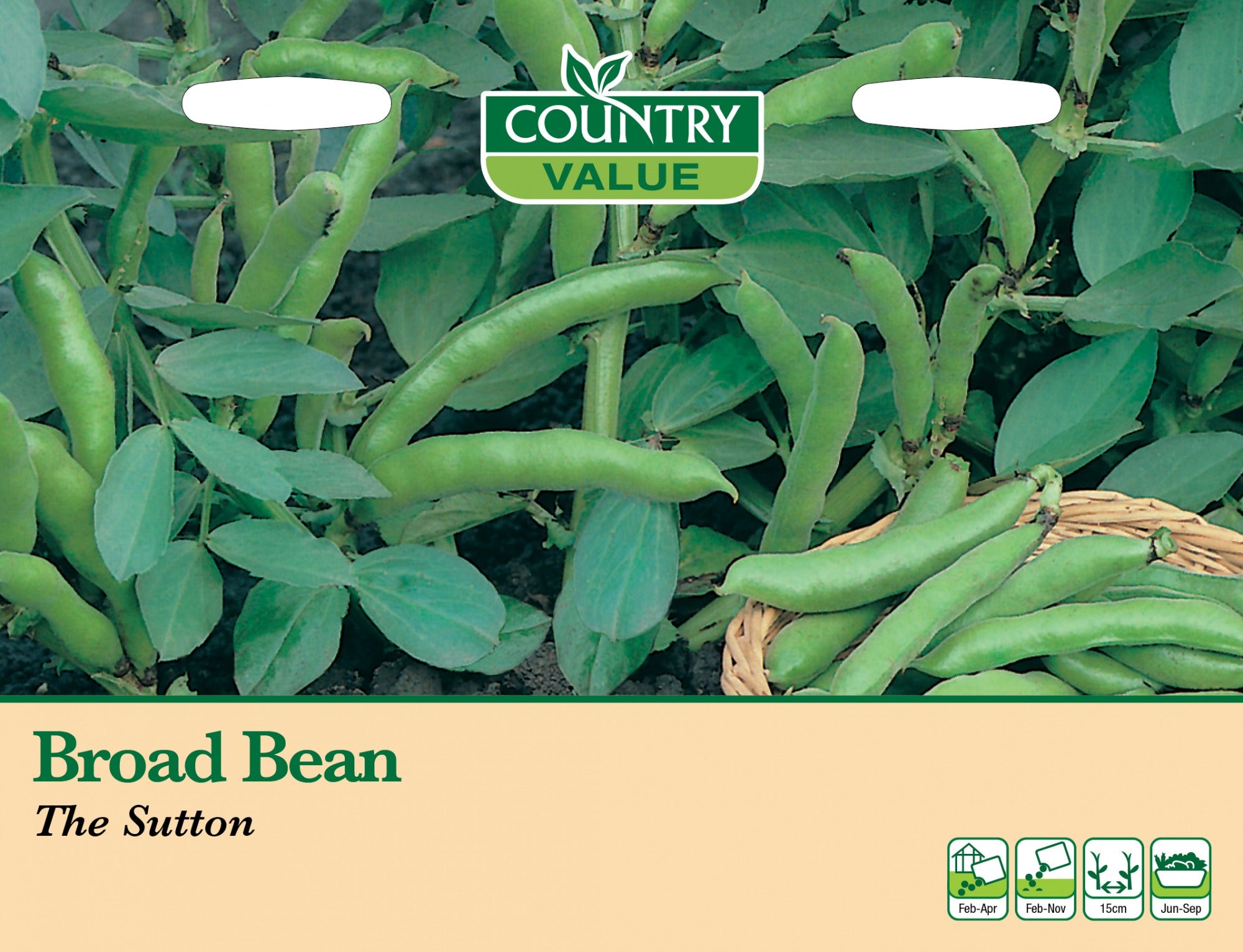 Broad Bean The Sutton C V Seeds