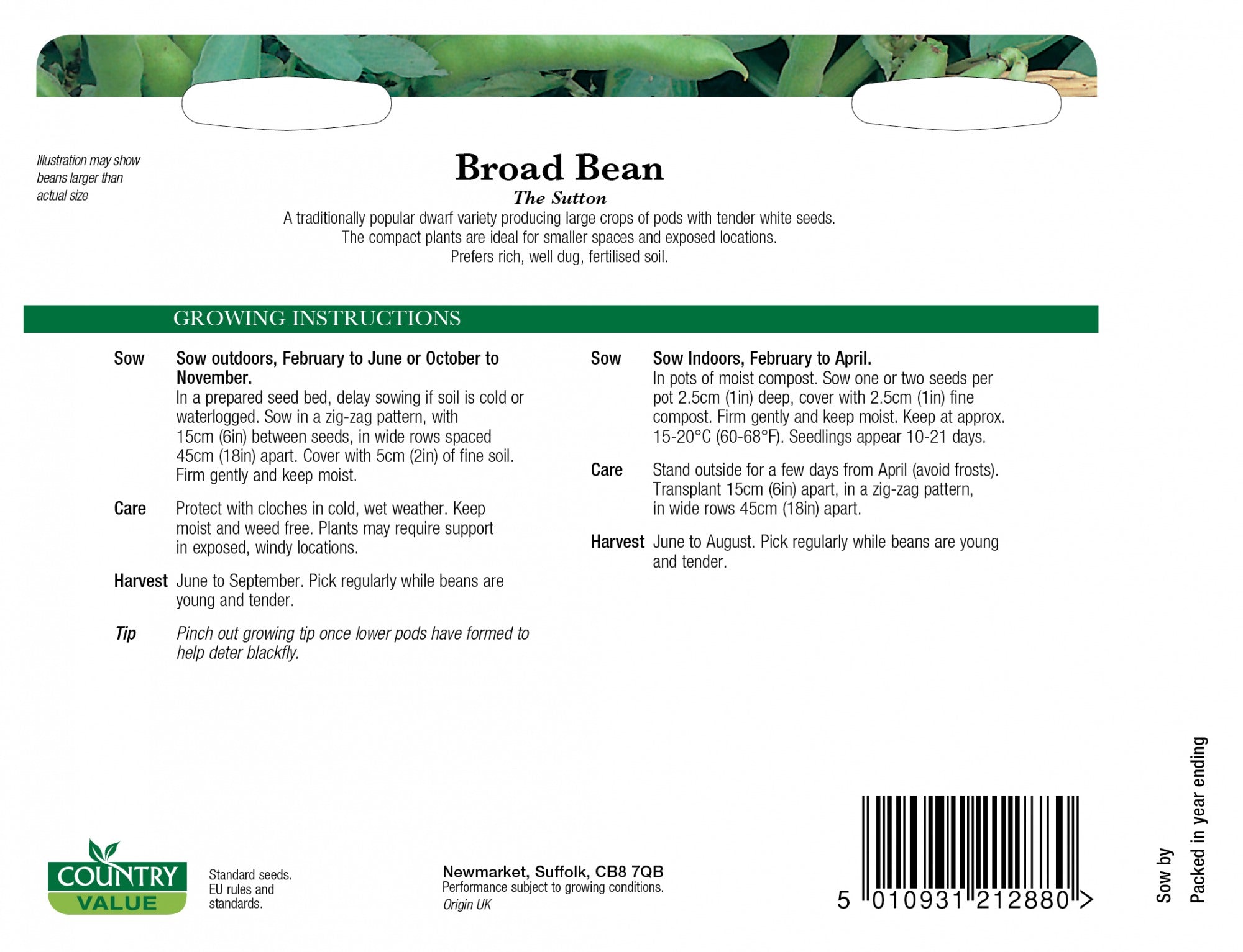 Broad Bean The Sutton C V Seeds