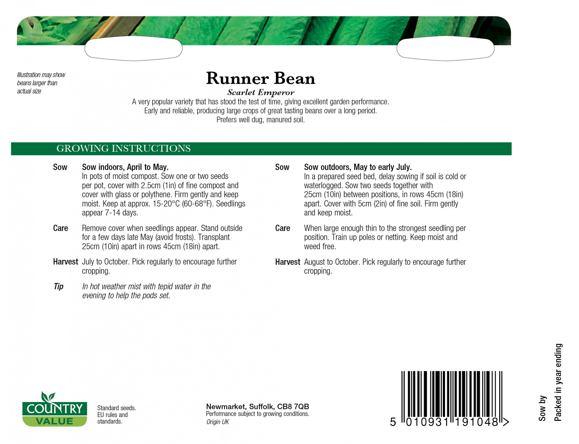 Runner Bean Scarlet Emperor C V Seeds