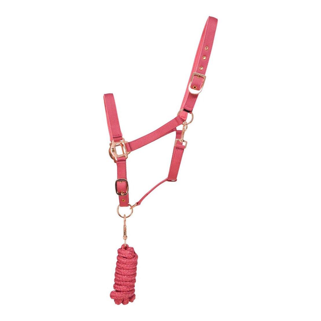 Hy Rose Gold Headcollar And Lead Rope