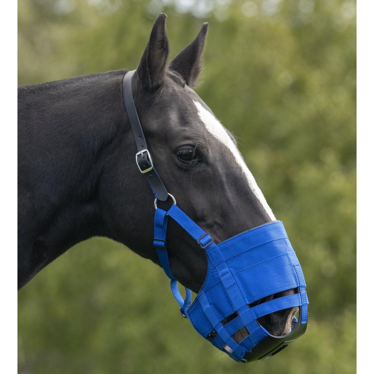 Ultimate Horse And Pony Muzzle
