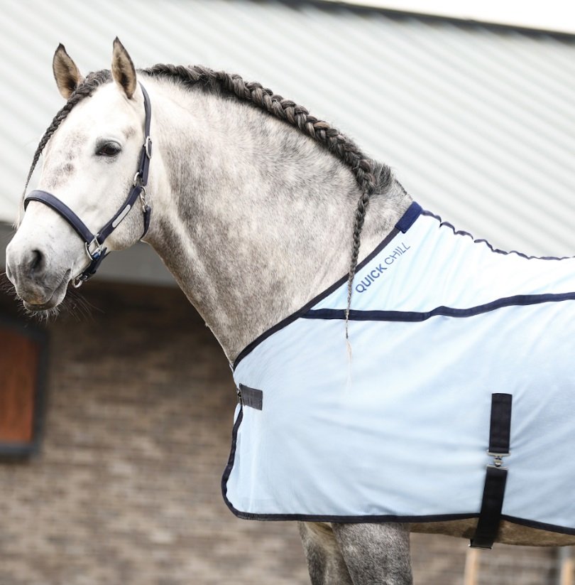 Equilibrium Quick Dry Chill Cooling Rug