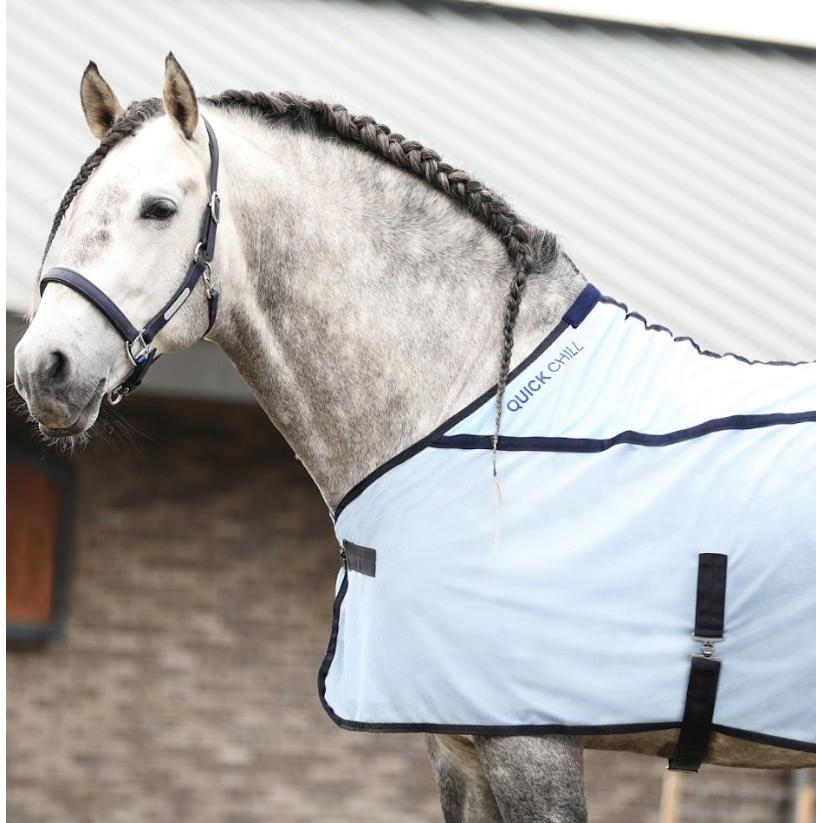 Equilibrium Quick Dry Chill Cooling Rug