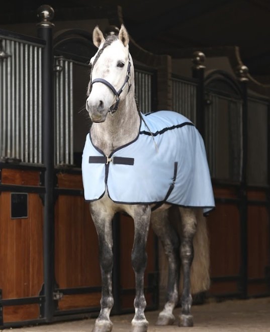 Equilibrium Quick Dry Chill Cooling Rug