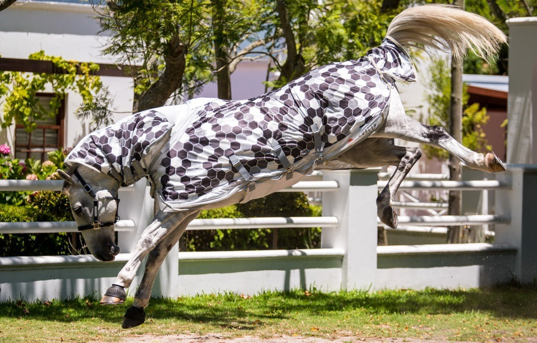 Equilibrium Field Relief Fly Rug - Hexagon