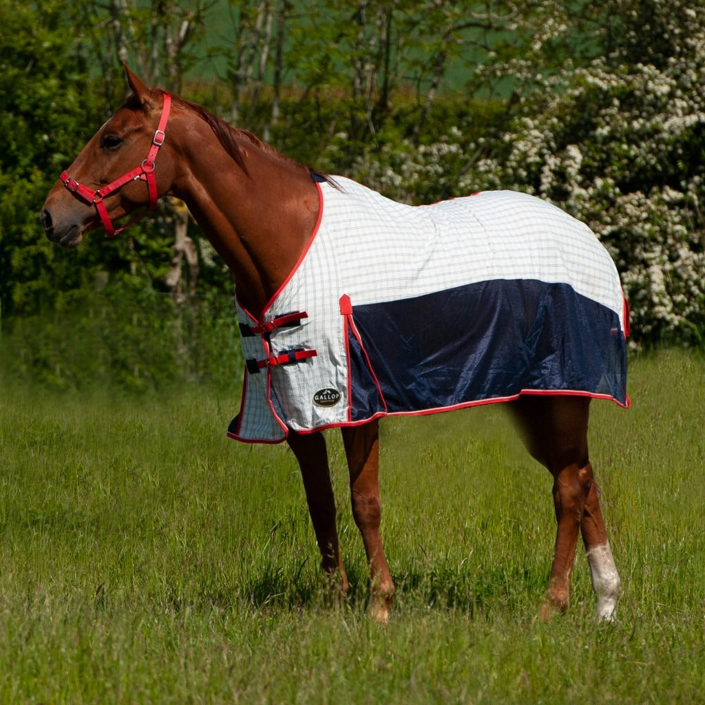 Gallop Airmesh Summer No Neck